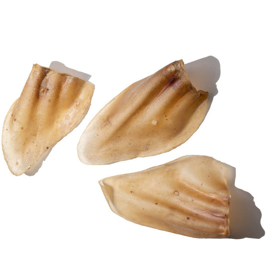 Cow Ears single