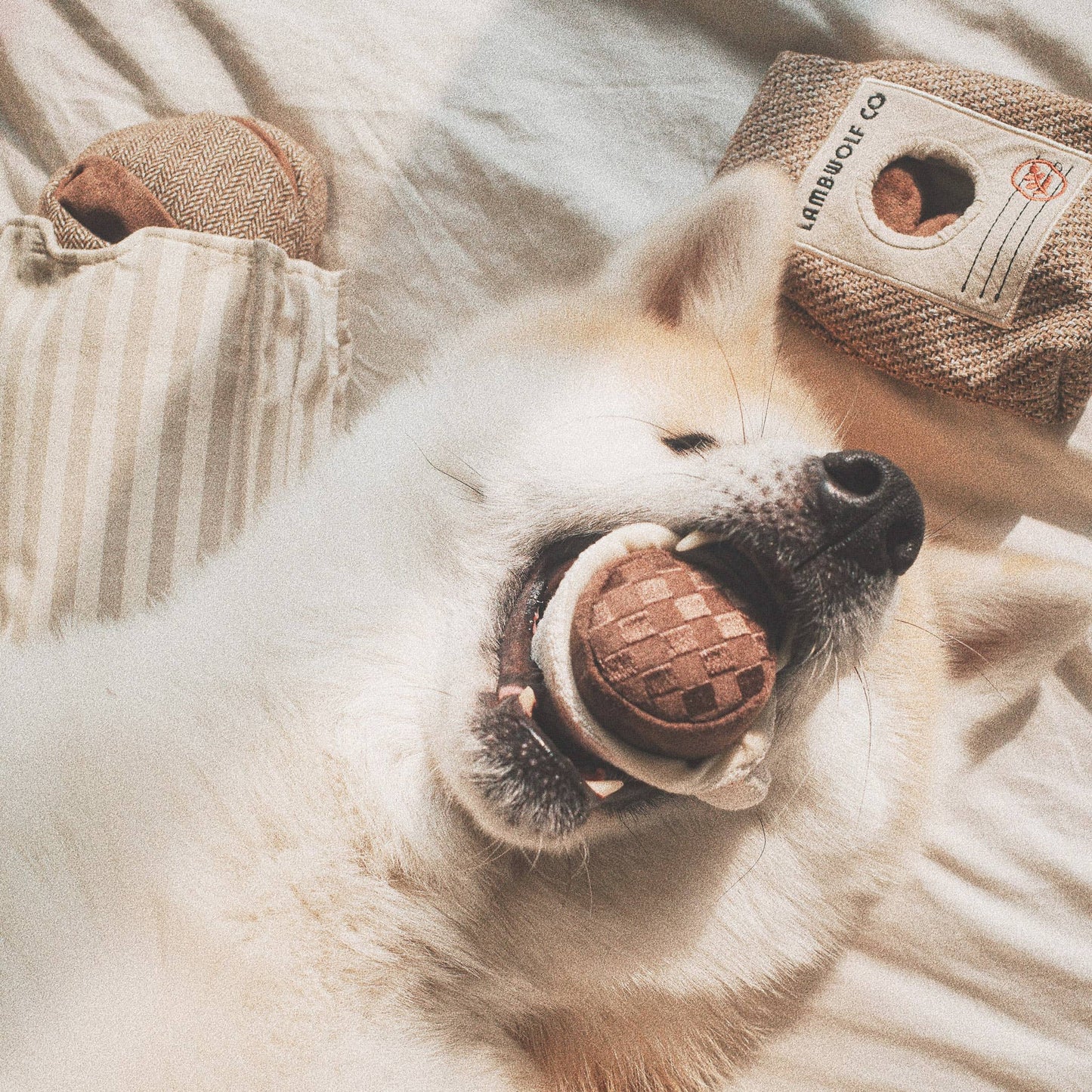 ESPRESSO POP//ENRICHMENT DOG TOY