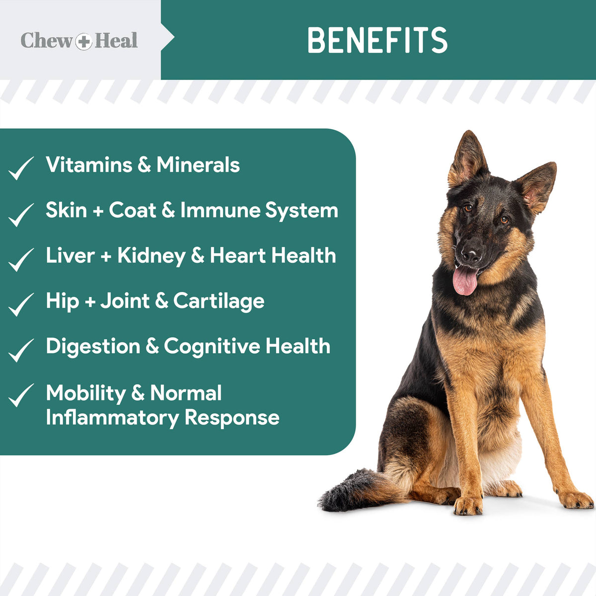 Essential 12-in-1 Multivitamin Soft Chews for Dogs