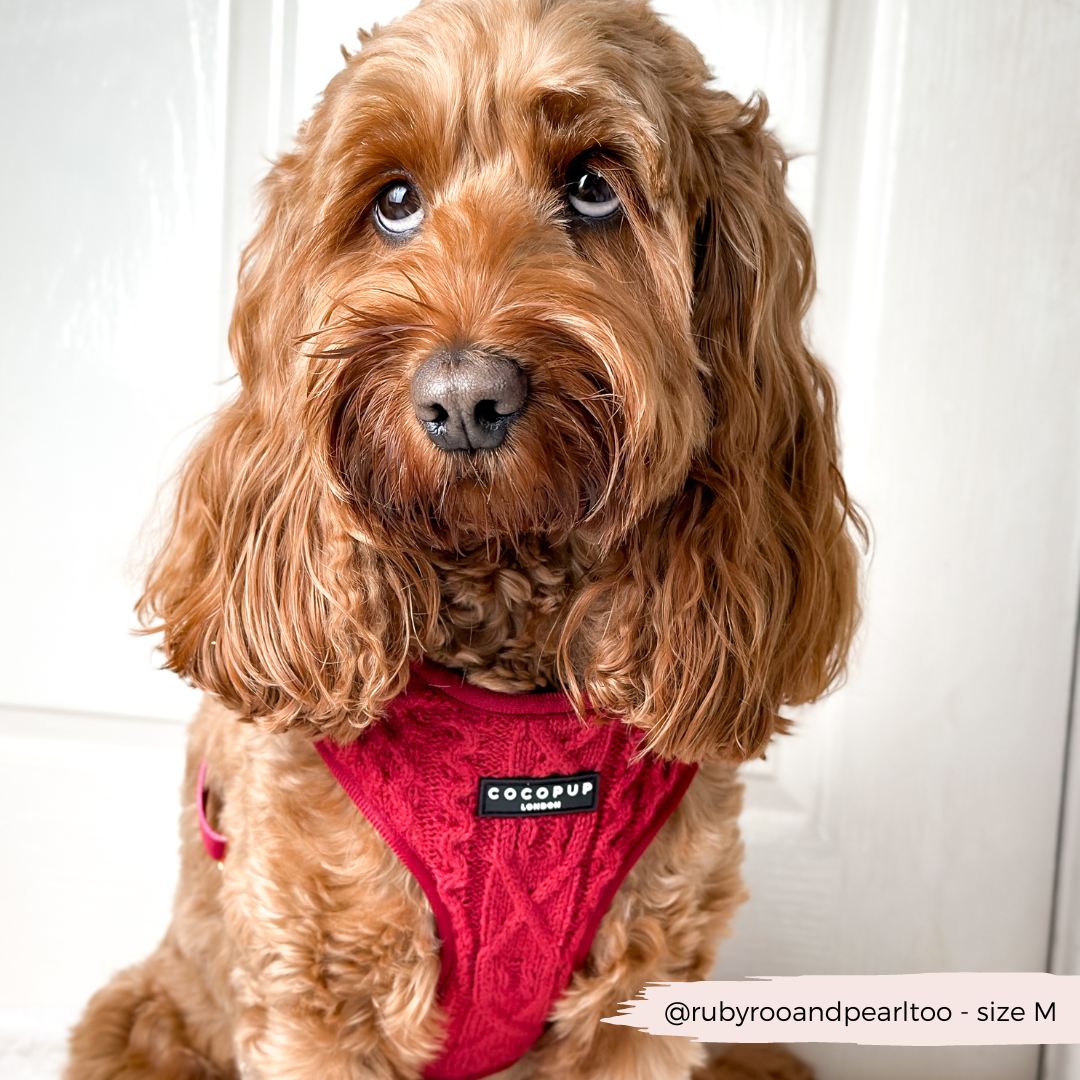 Cable Knit Jumper Adjustable Neck HARNESS - Mulled Pup Wine