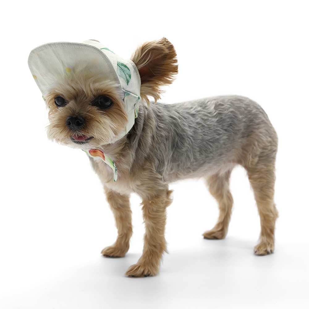 Avocado Hat