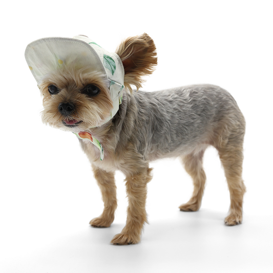 Avocado Hat