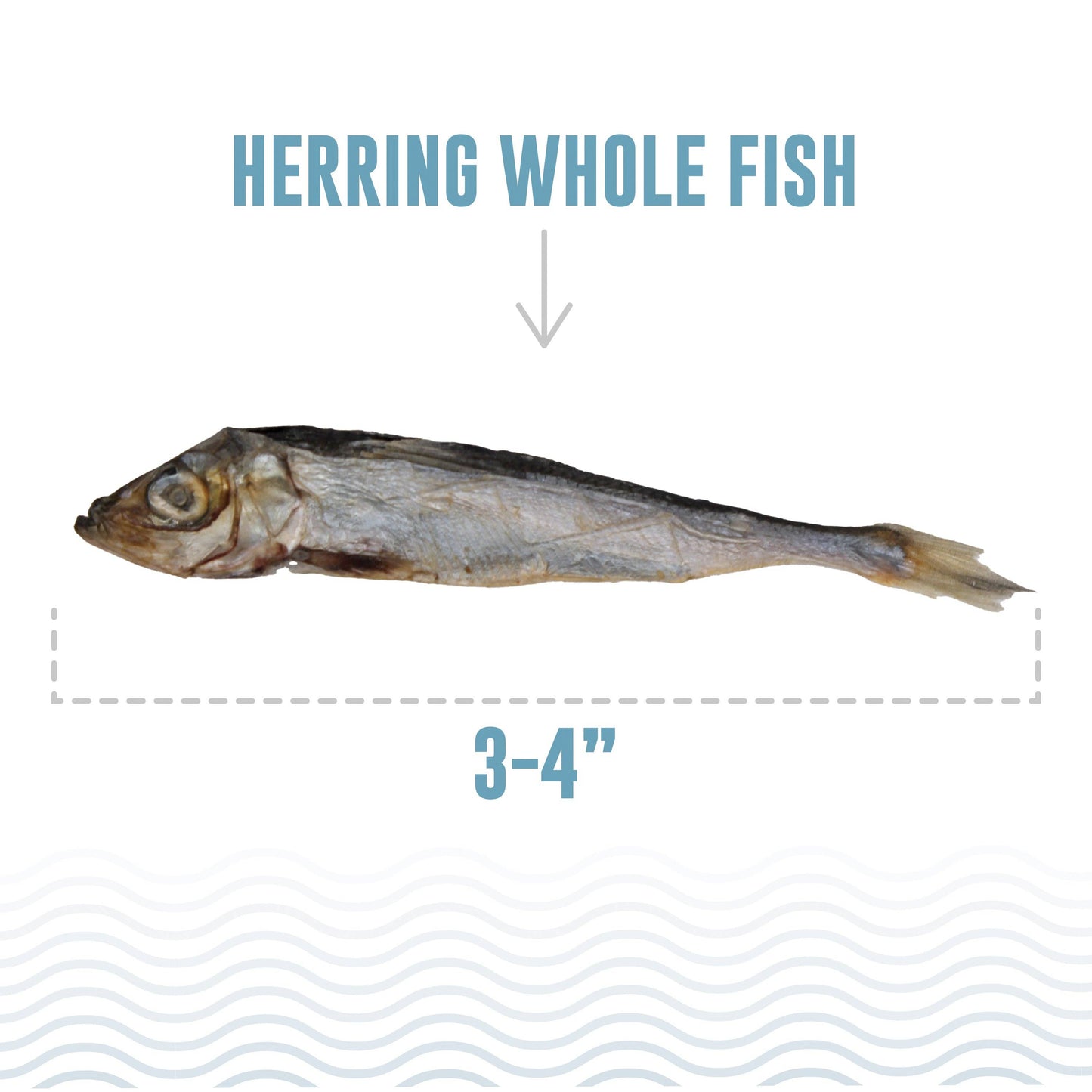 Herring Whole Fish Dog Treats: 3-oz Bag