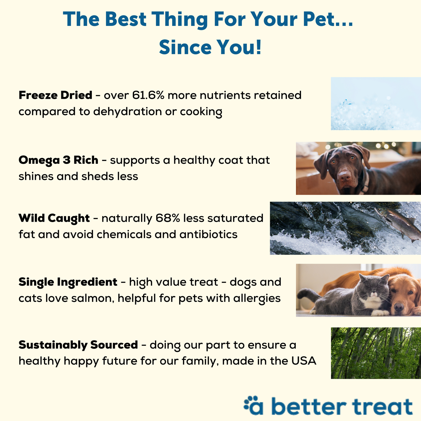 Freeze Dried Wild Caught Salmon Dog and Cat Treats: Standard 1 Pack