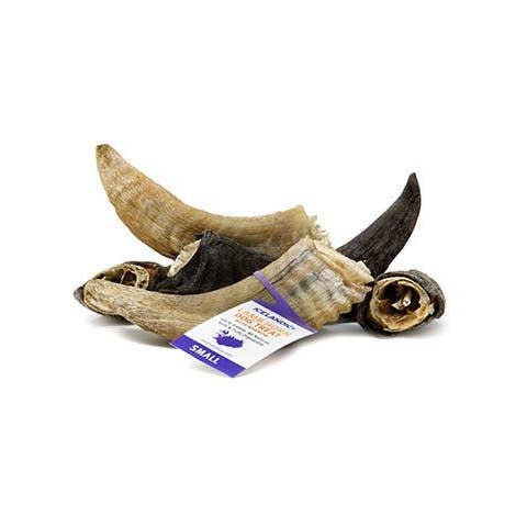 Icelandic+ Small Lamb Horn with Marrow