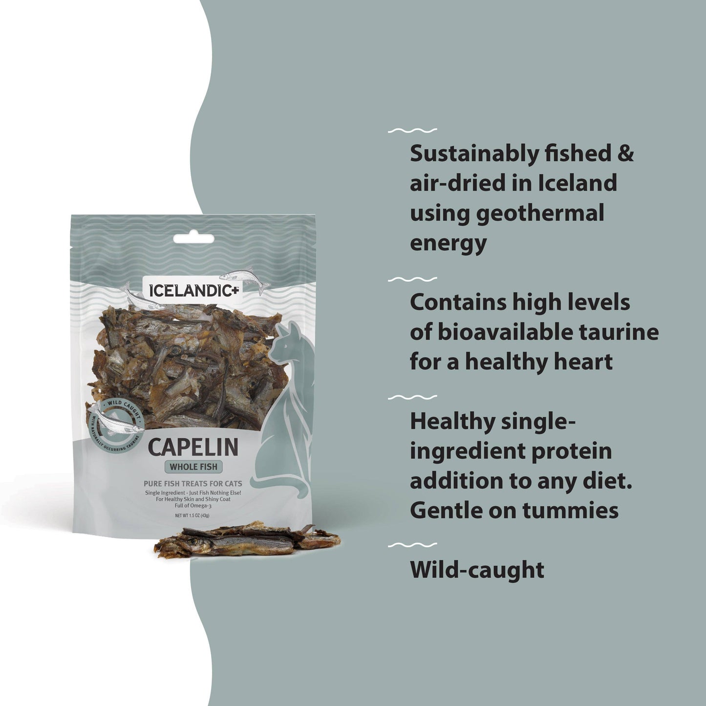 Capelin Whole Fish & Pieces Cat Treats: 1.5-oz Bag