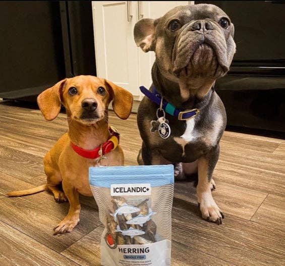 Herring Whole Fish Dog Treats: 3-oz Bag