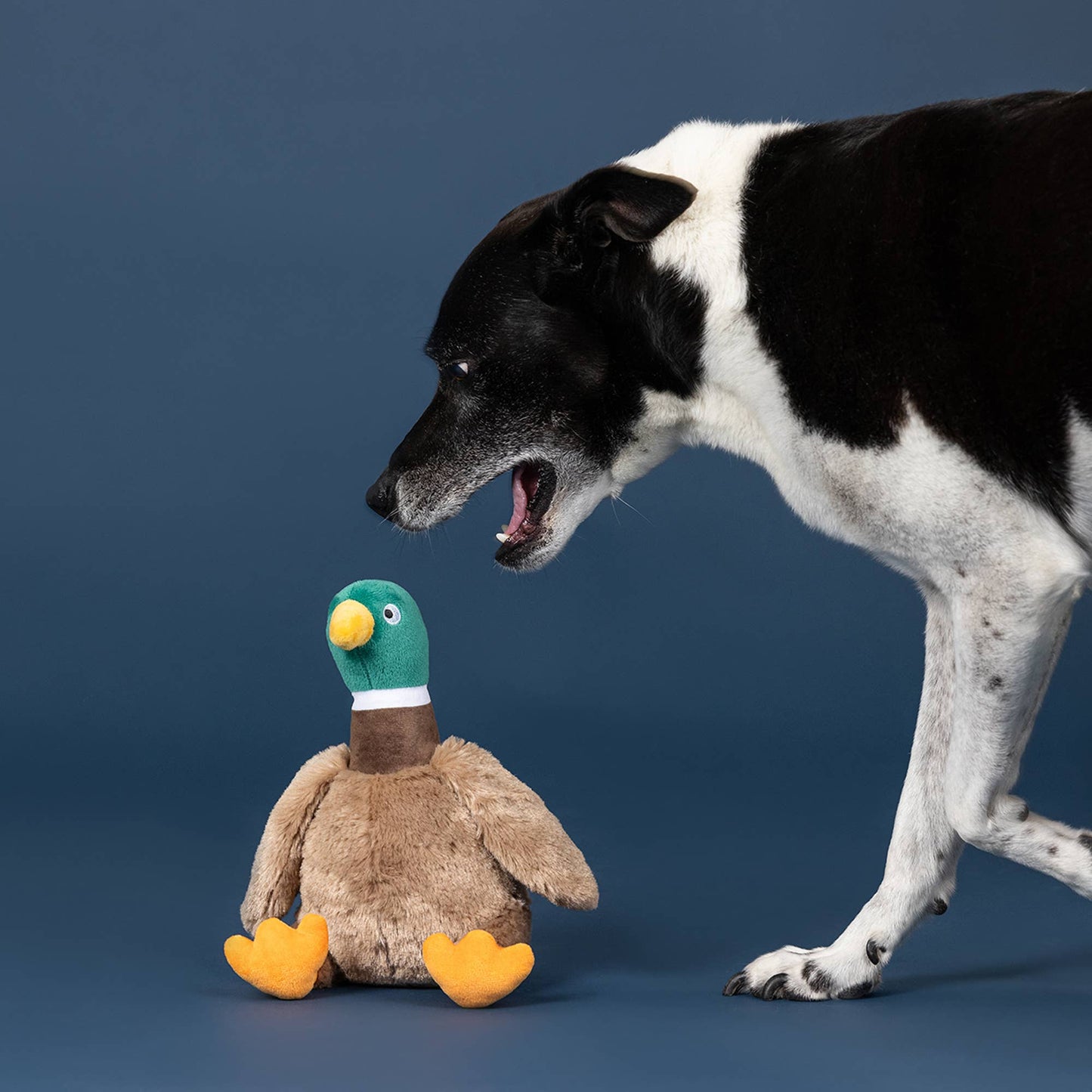 FEELIN' NAUTI PLUSH DOG TOY