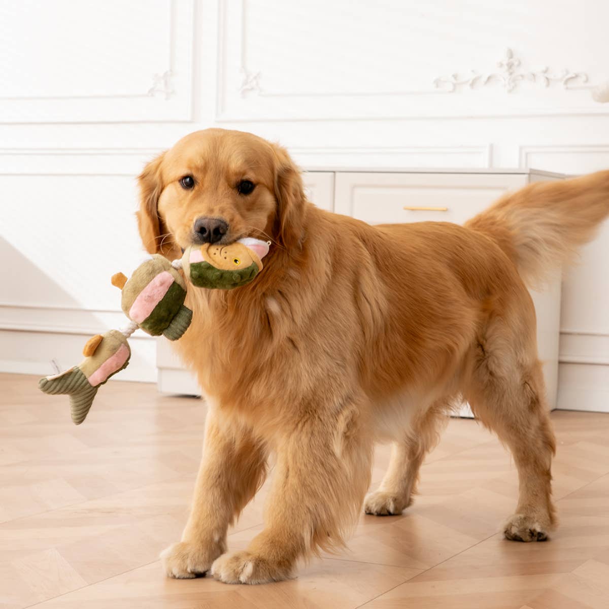 Trout Jointed Shake Play Dog Toy