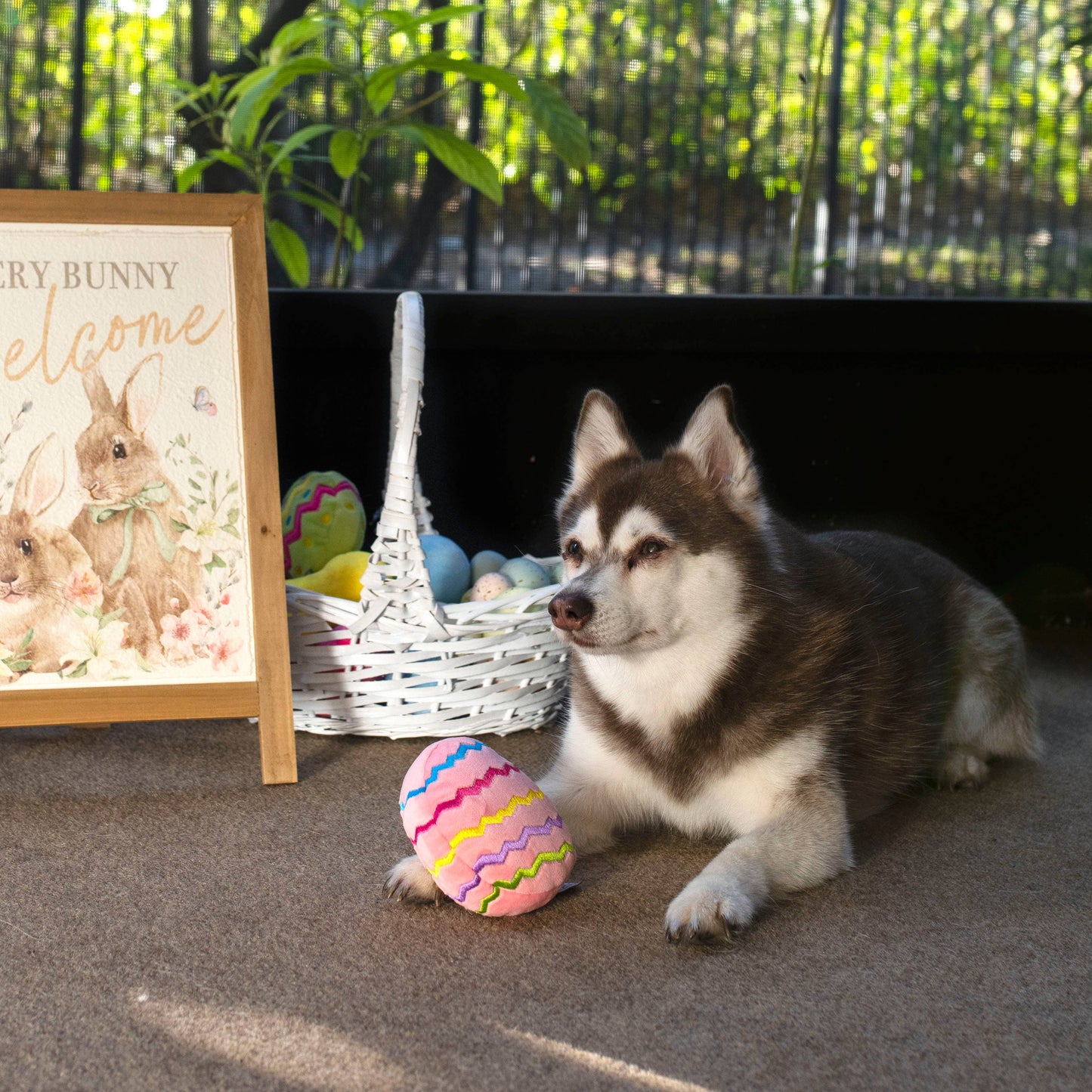 Easter Egg Plush Dog Toy - Pink