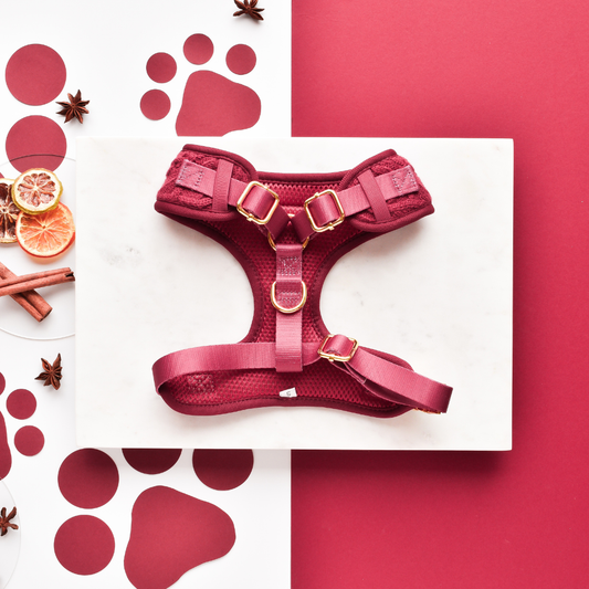 Cable Knit Jumper Adjustable Neck HARNESS - Mulled Pup Wine