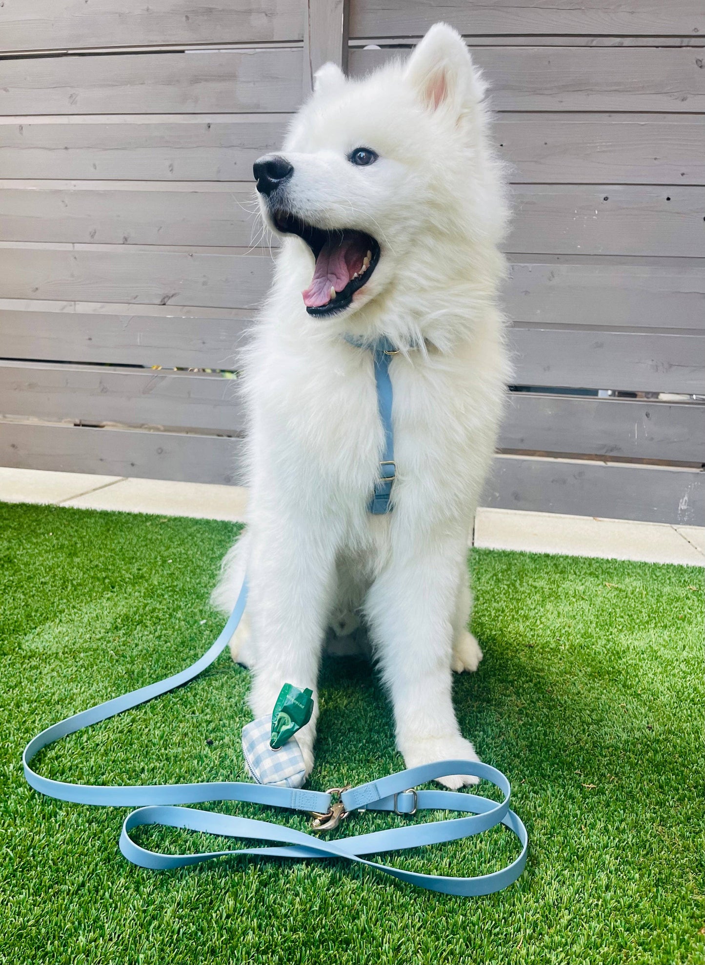 Malibu Blue Cloud Lite Dog Harness