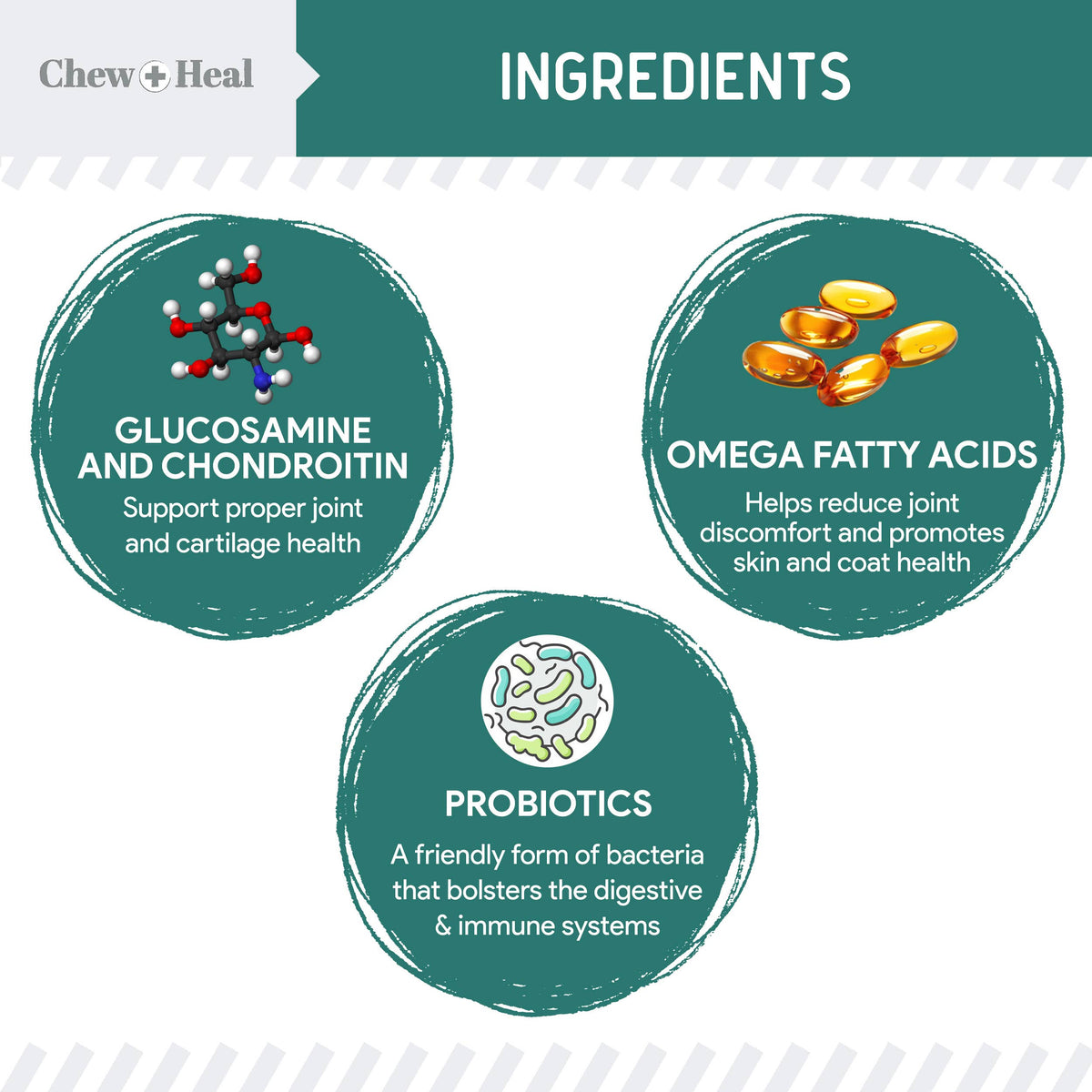Essential 12-in-1 Multivitamin Soft Chews for Dogs