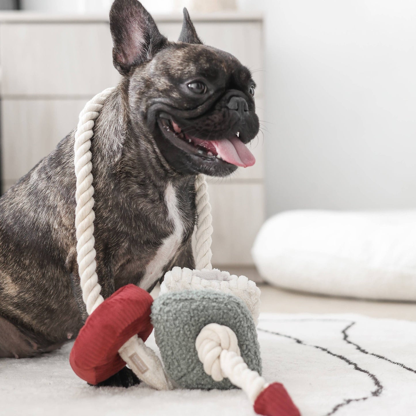XMAS BLOCS//ENRICHMENT DOG TOY // HOLIDAY