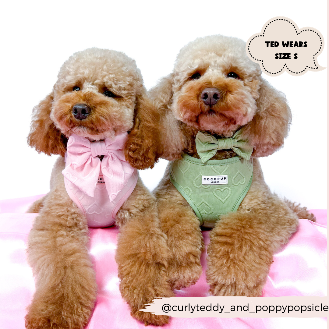 Luxe Adjustable Neck Harness - Baby Pink Heart