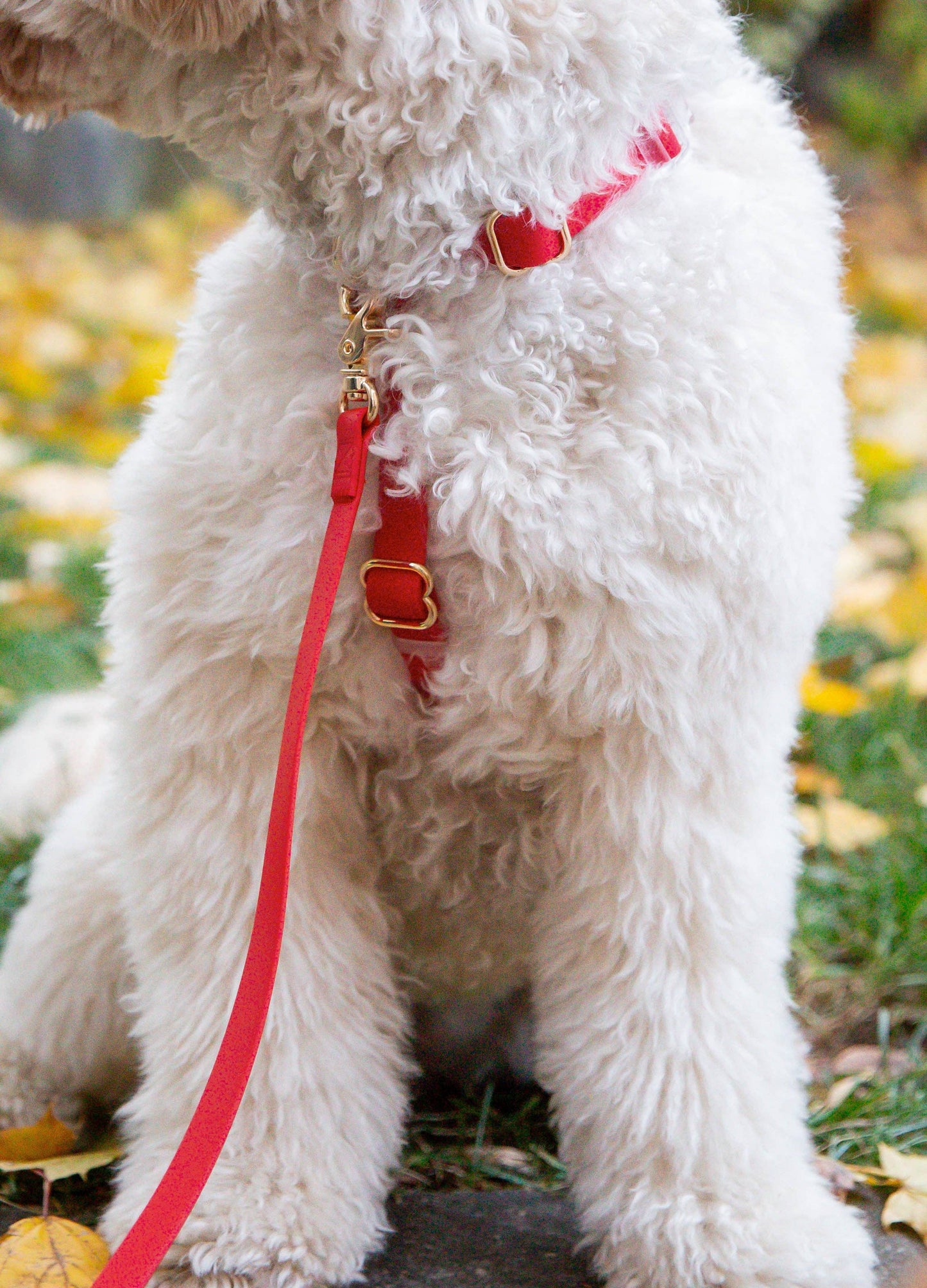 Cherry Red Cloud Lite Dog Harness