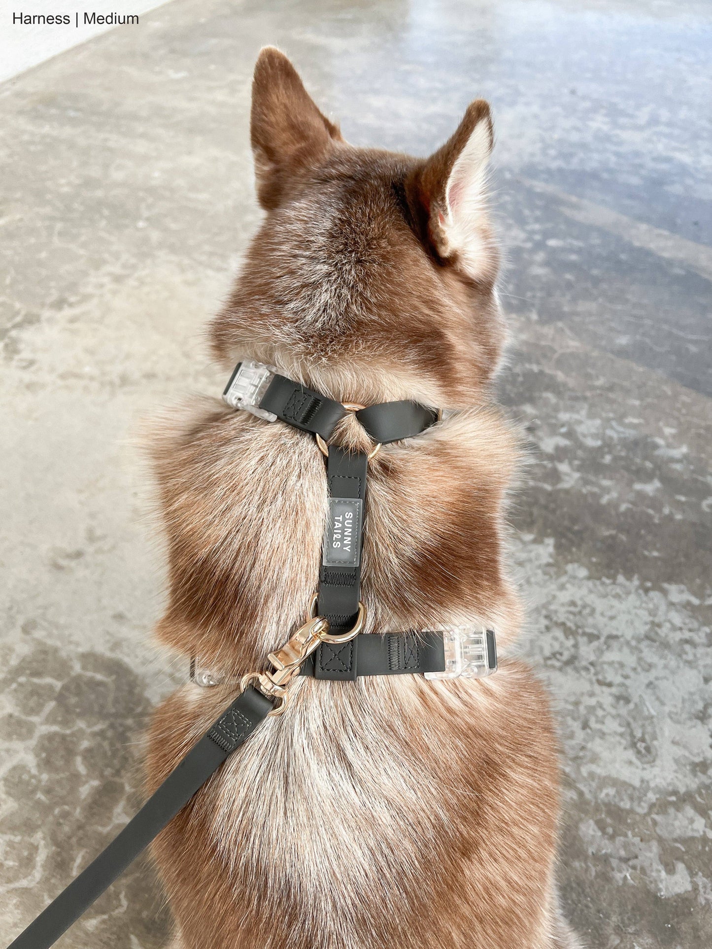 Ember Black Cloud Lite Dog Harness