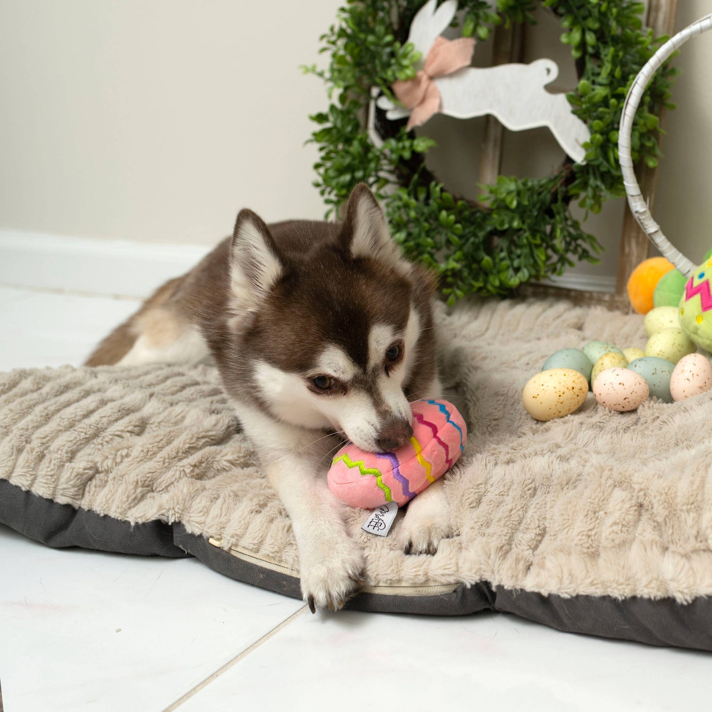 Easter Egg Plush Dog Toy - Pink