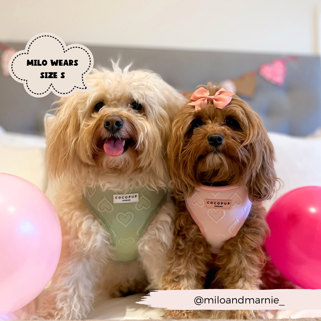 Luxe Adjustable Neck Harness - Baby Pink Heart