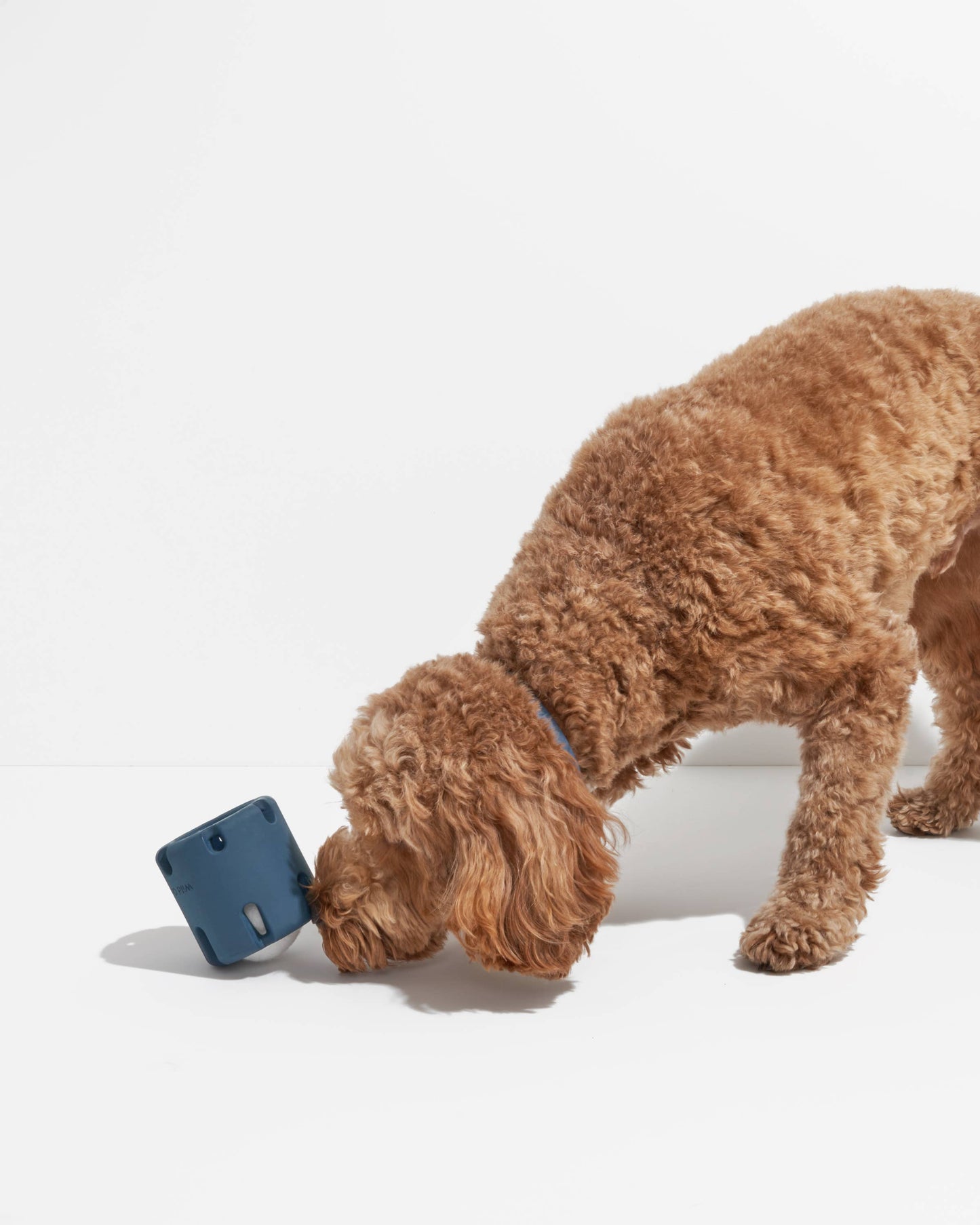 Tennis Tumble Interactive Dog Toy