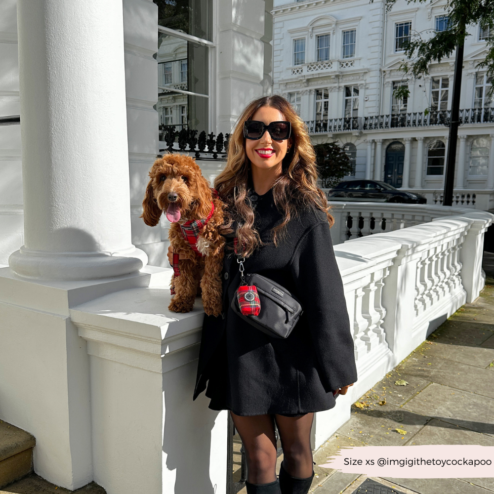 Tartan Adjustable Neck HARNESS