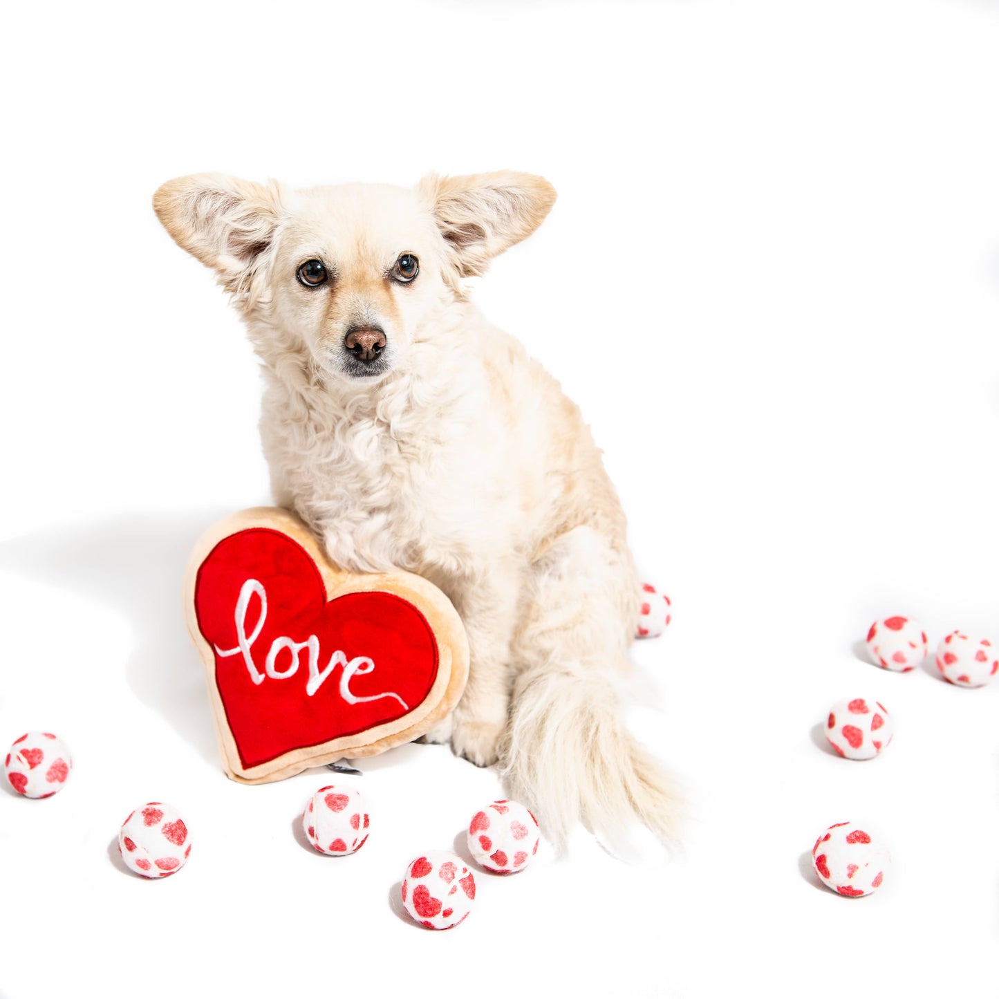 Valentine's Hearts Dog Tennis Balls: Regular