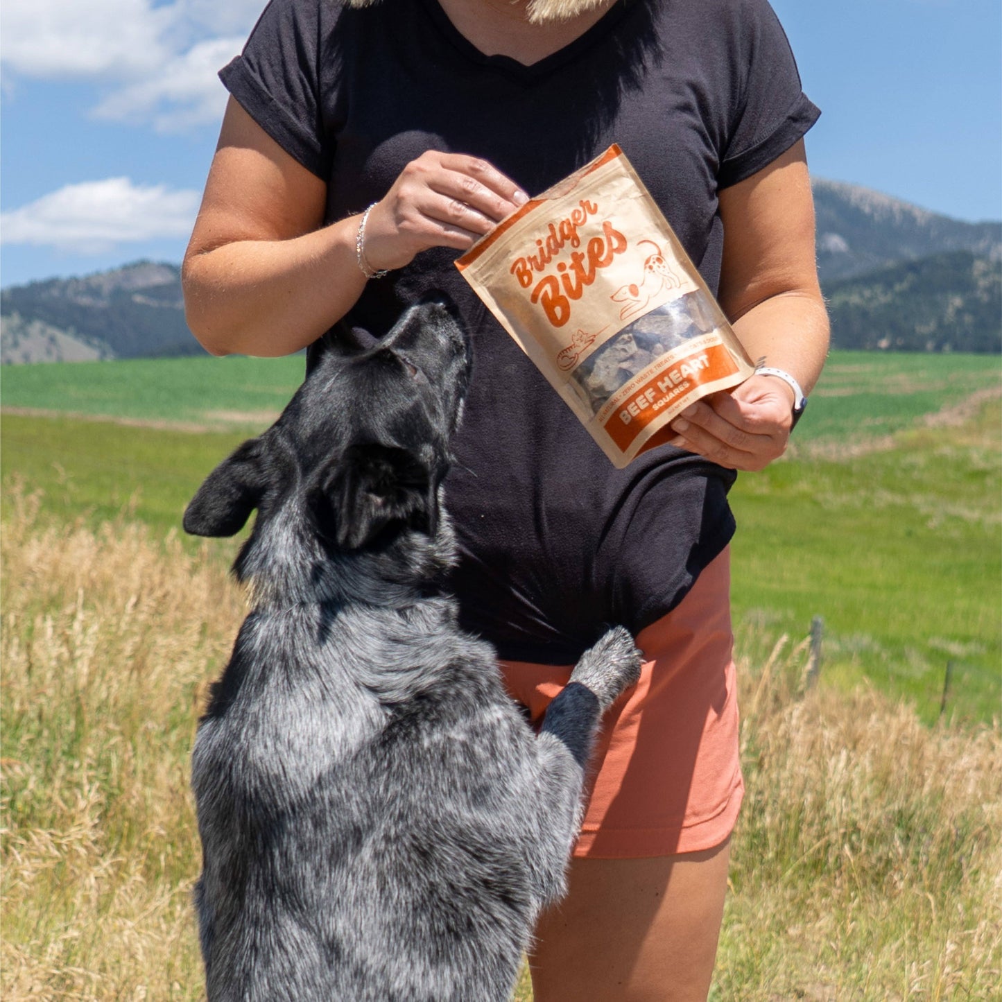 Freeze-Dried Beef Heart