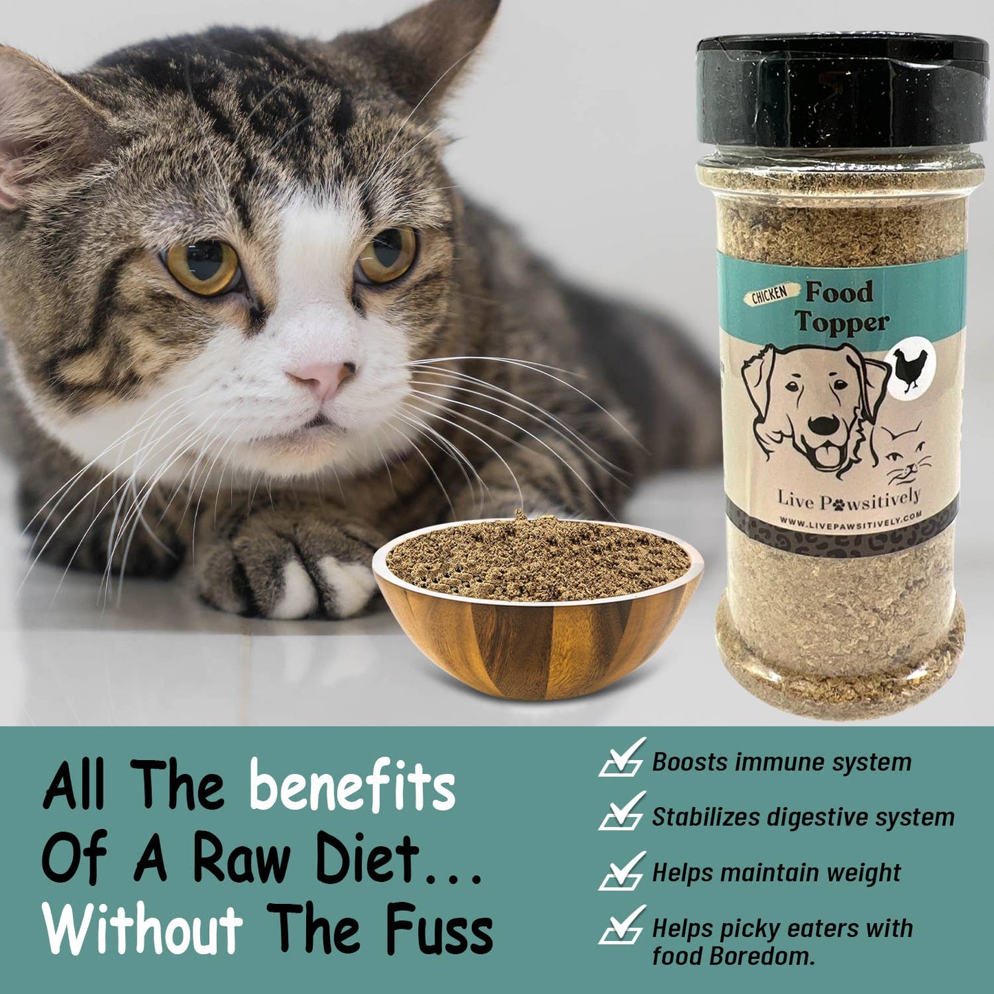 Beef, Chicken, Lamb, Salmon, White Fish & Vegan Sweet Potato: White Fish