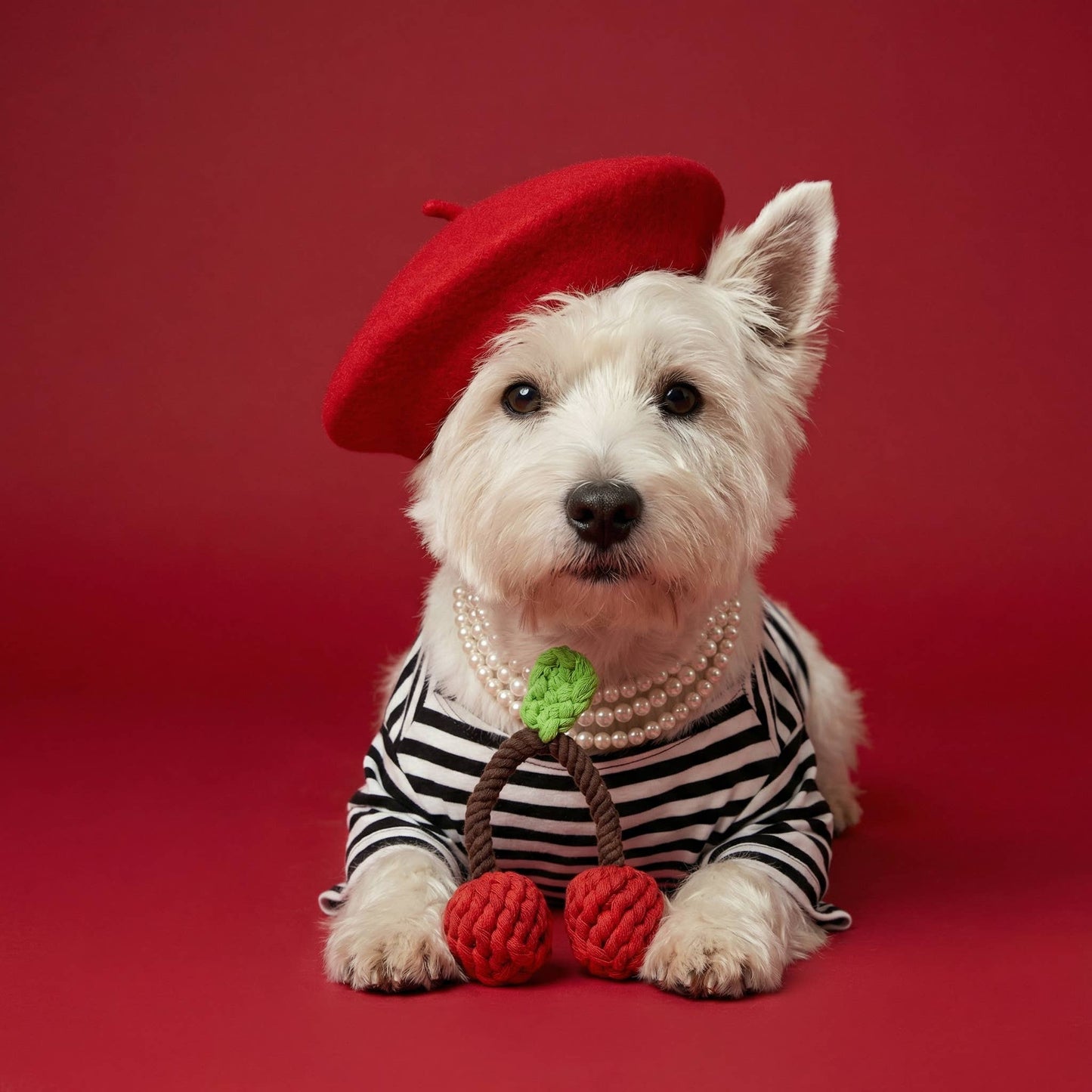 Handcrafted Cherry Pet Rope Toys | Sustainable | Small Pets