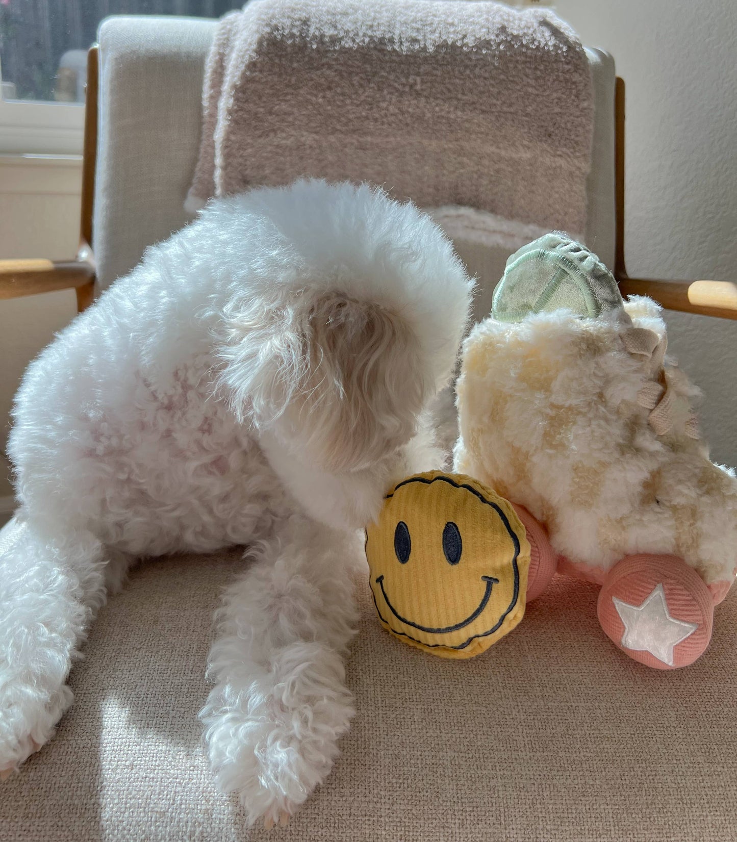 Roller Skate //ENRICHMENT DOG TOY