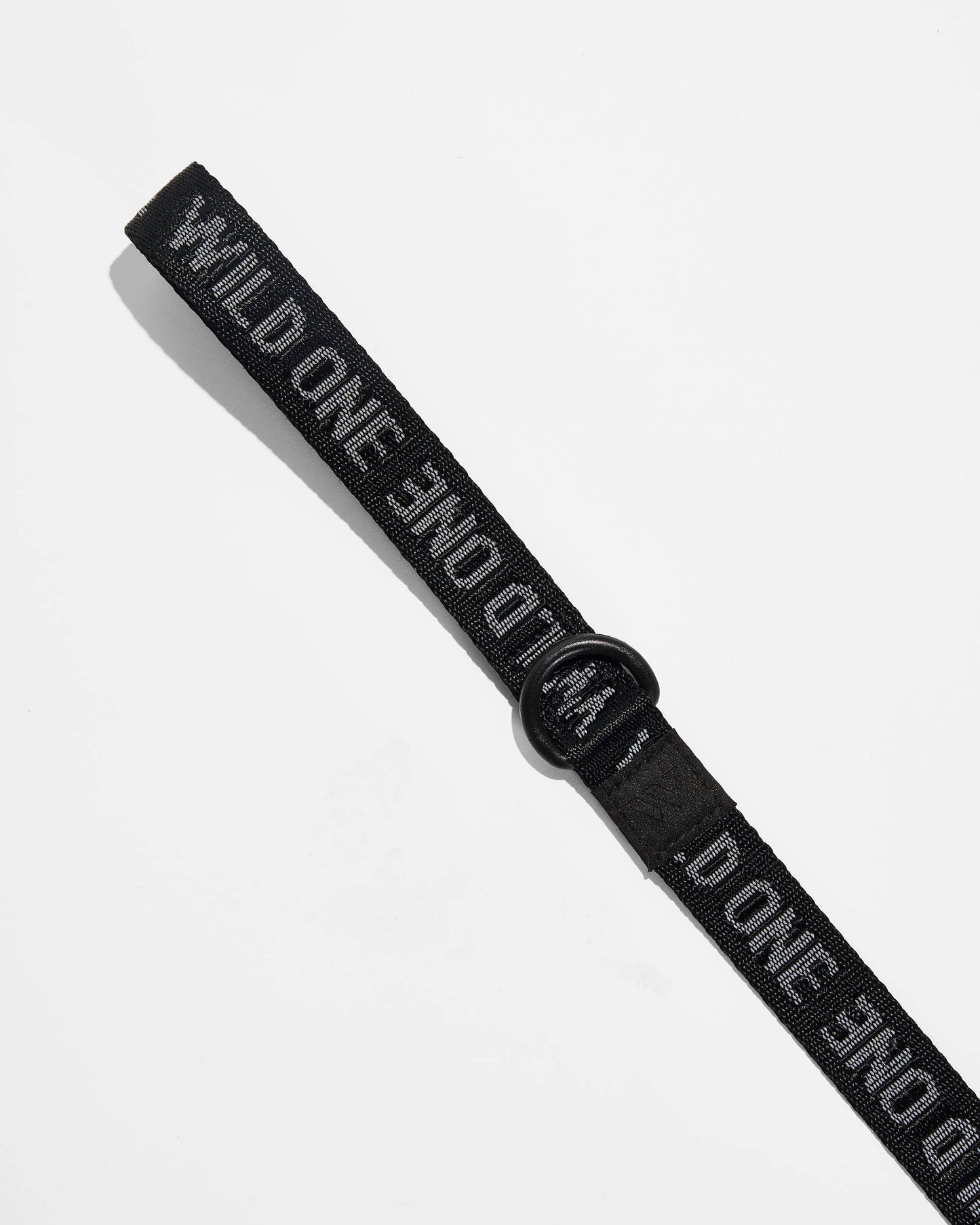 Lightweight Nylon Leash