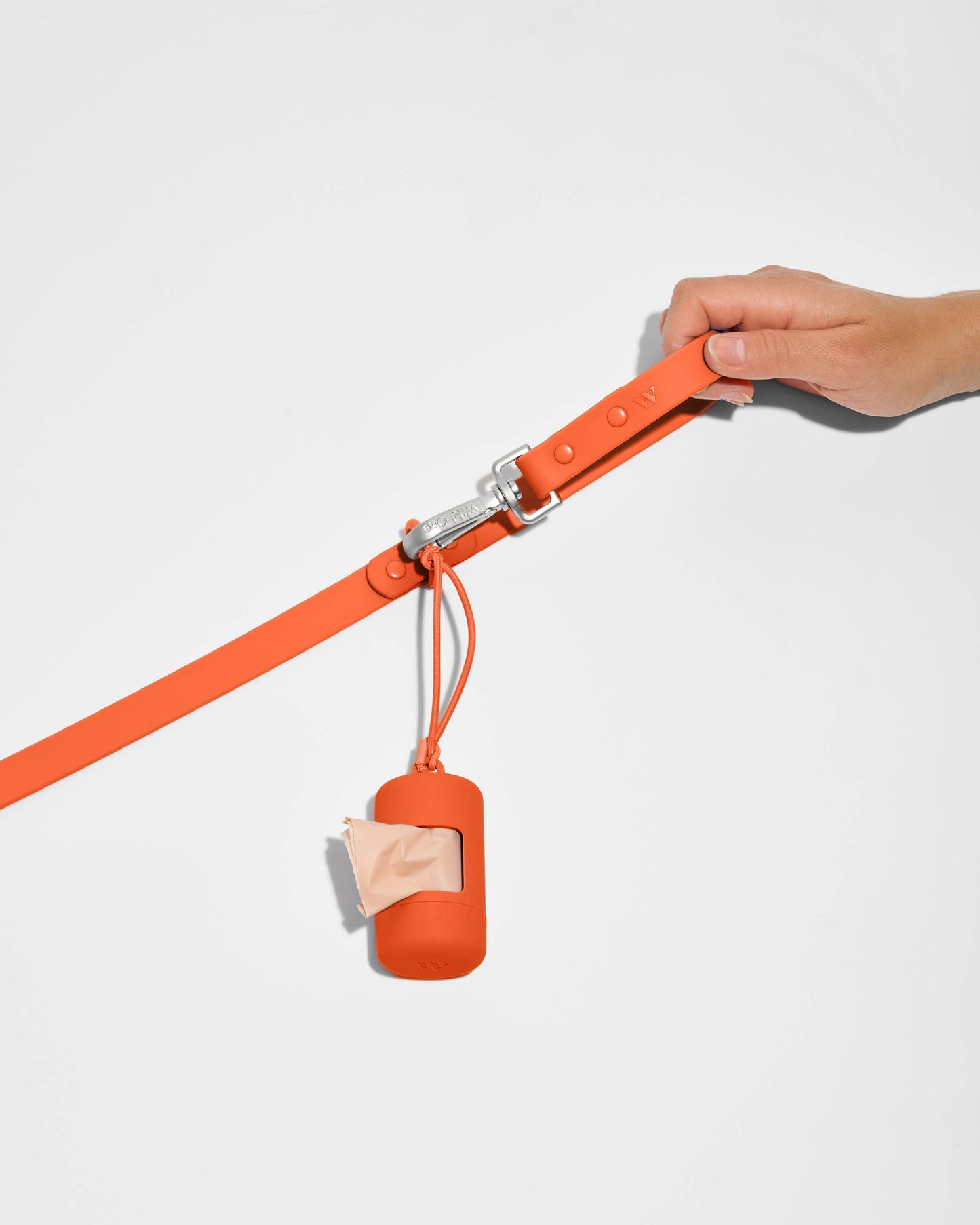 Dog Poop Bag Dispenser Carrier: Strawberry