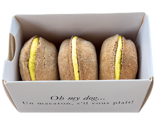 3-ct Birthday Cake Macaron Dog Treats - Valentines Day Gift