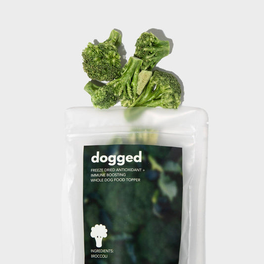 Dogged - Freeze Dried Broccoli Topper (limited edition)