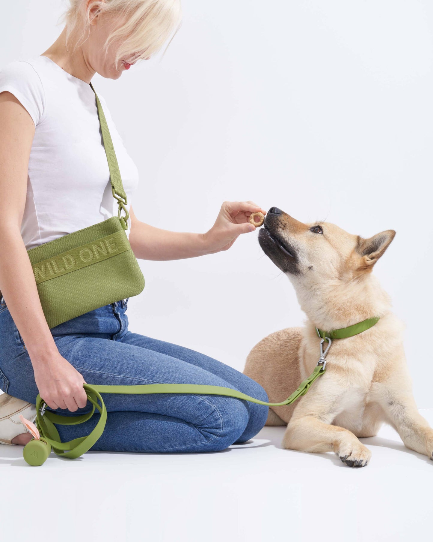Poop Bag Carrier Dispenser for Pets & Dogs