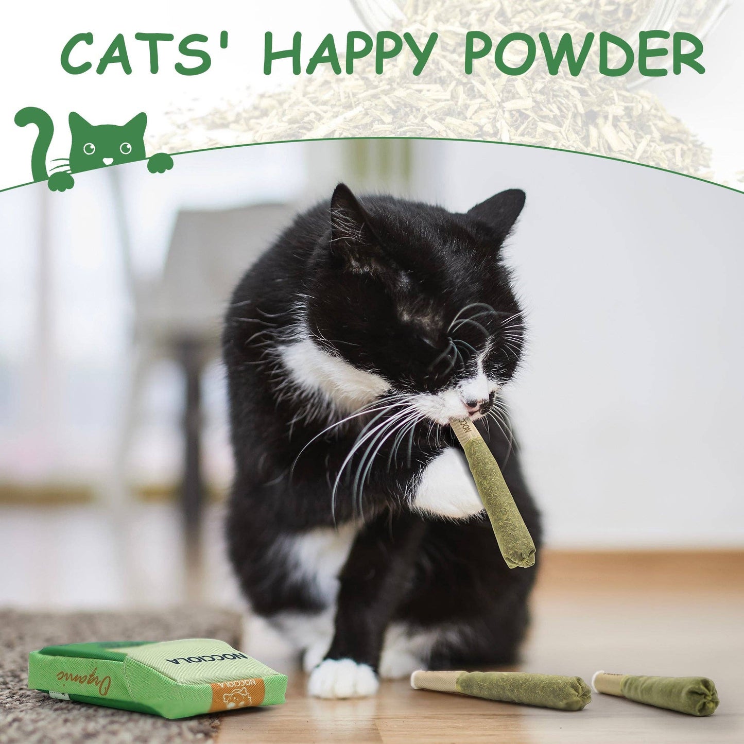3 Pack Catnip Toys for Cats - MJ