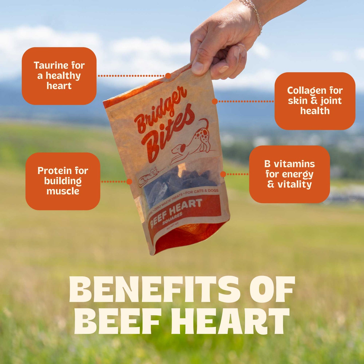 Freeze-Dried Beef Heart
