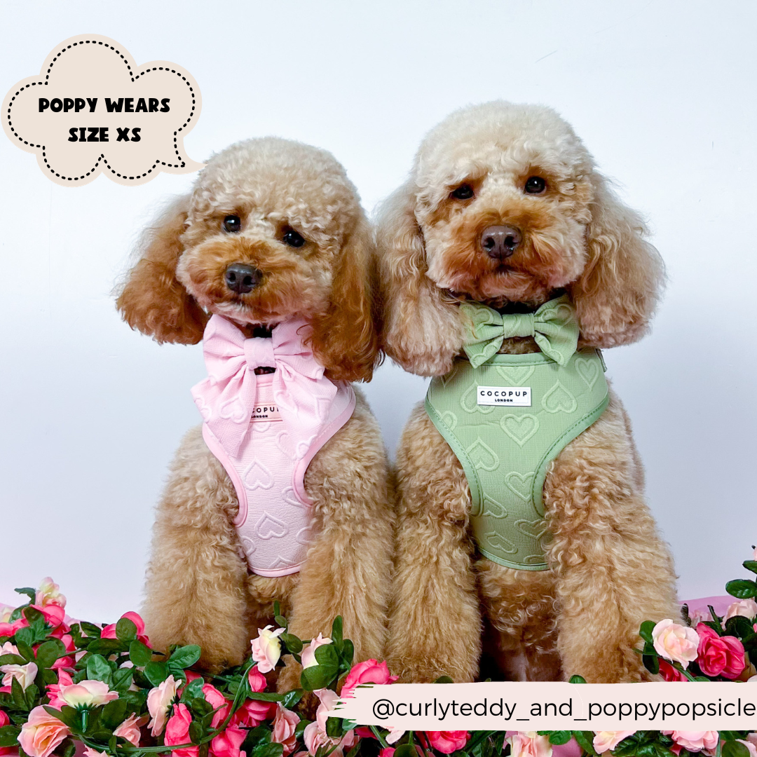 Luxe Adjustable Neck Harness - Baby Pink Heart