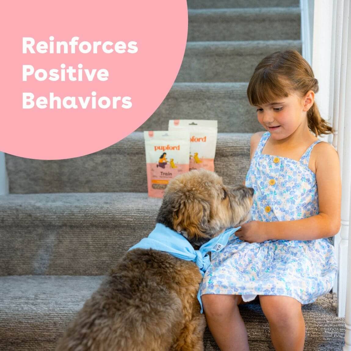 Soft Chicken Training Treats