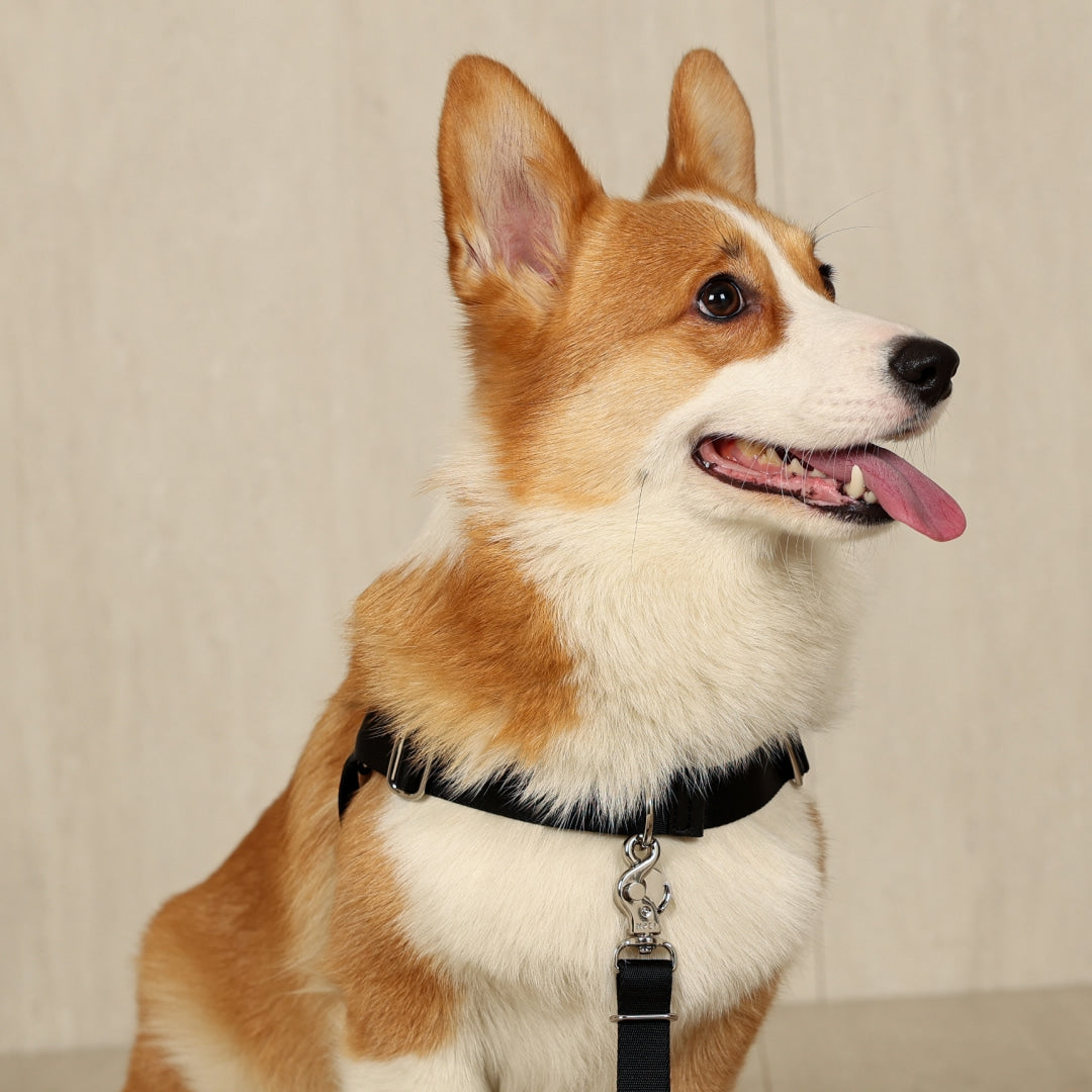 Horsebit Harness : Black
