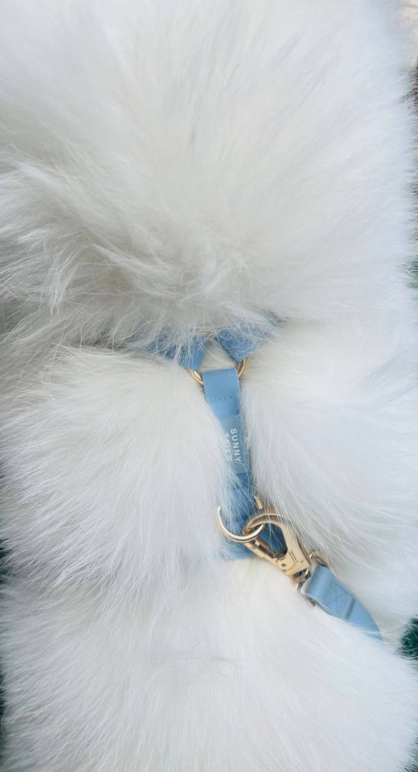 Malibu Blue Cloud Lite Dog Harness