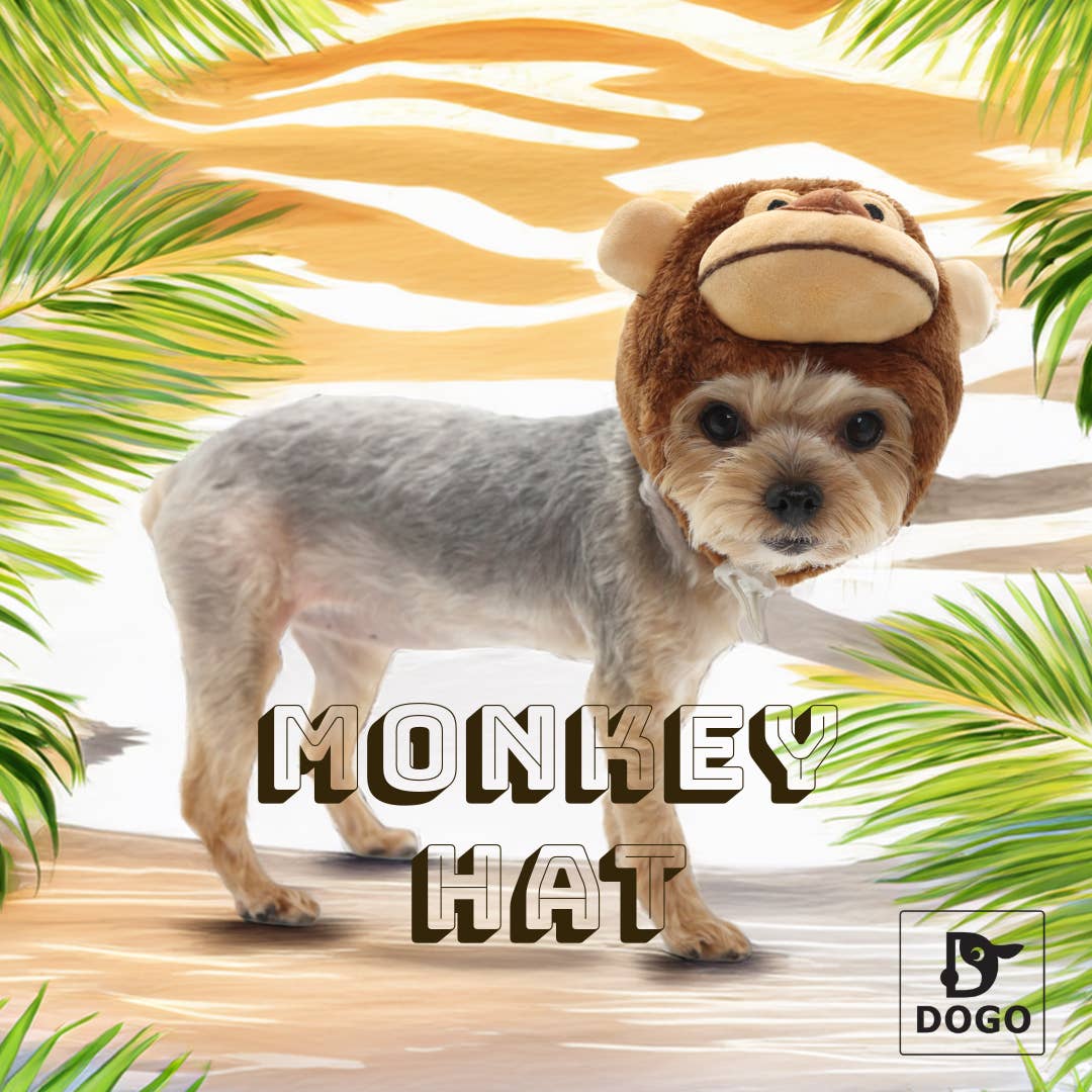 Monkey Hat