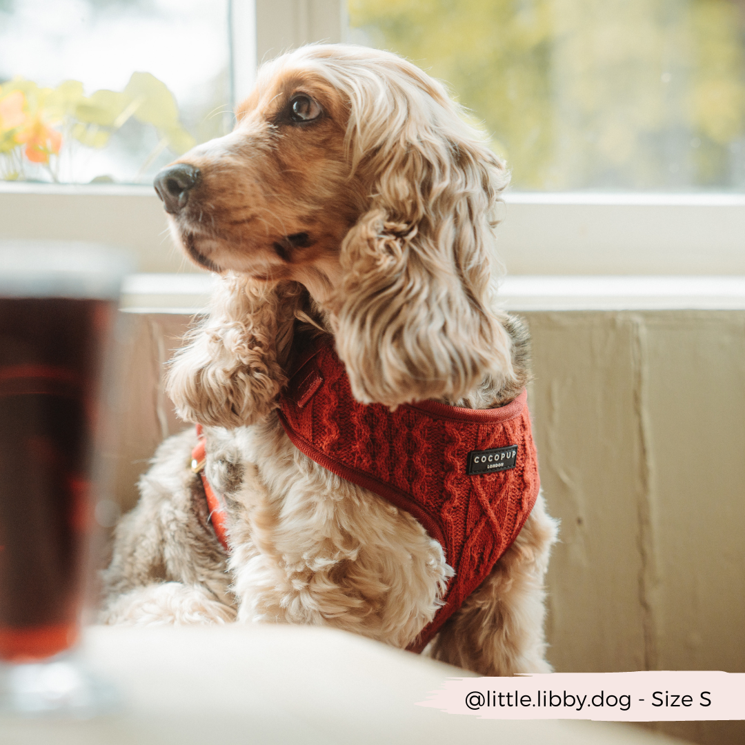 Cable Knit Jumper Adjustable Neck HARNESS - Mulled Pup Wine