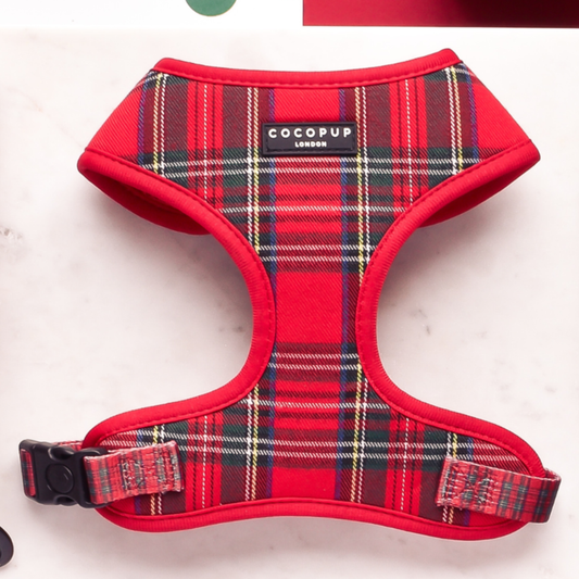 Tartan Adjustable Neck HARNESS