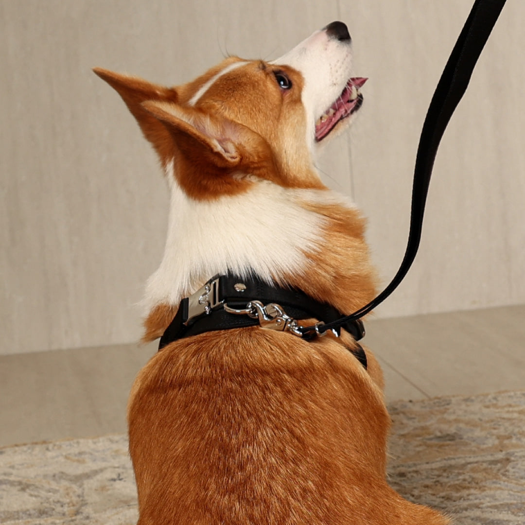 Horsebit Harness : Black