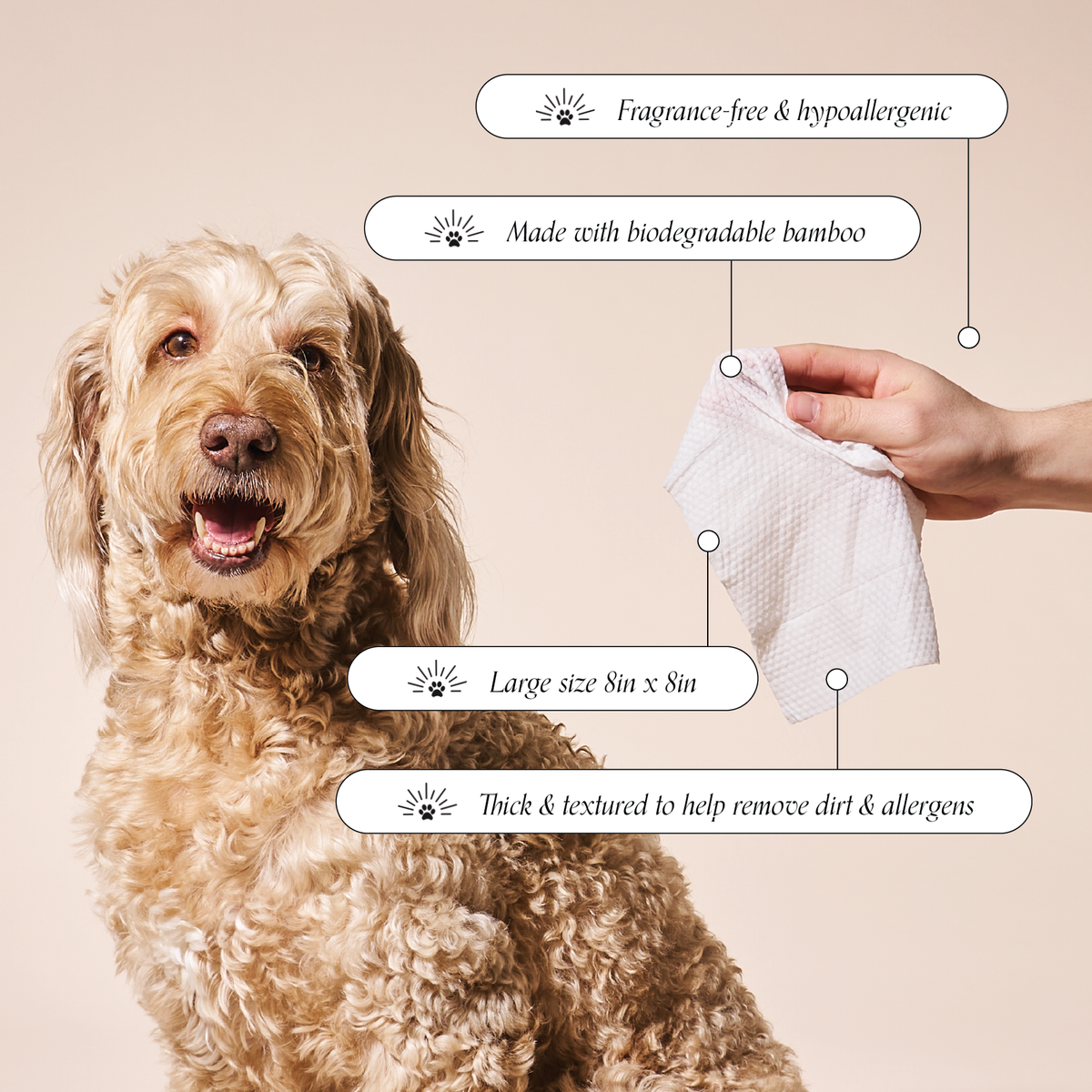 So Fresh, So Clean Probiotic Wipes