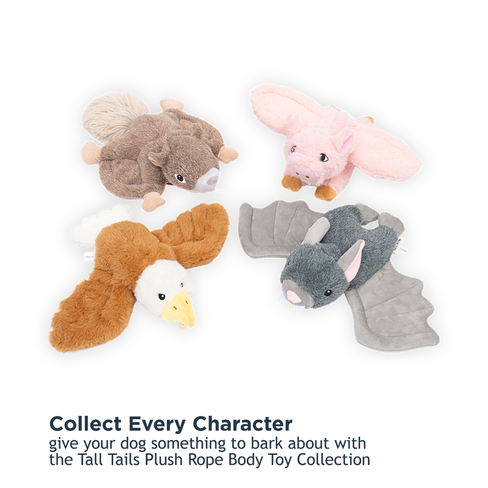 Eagle Fling and Fly Toy for Dogs