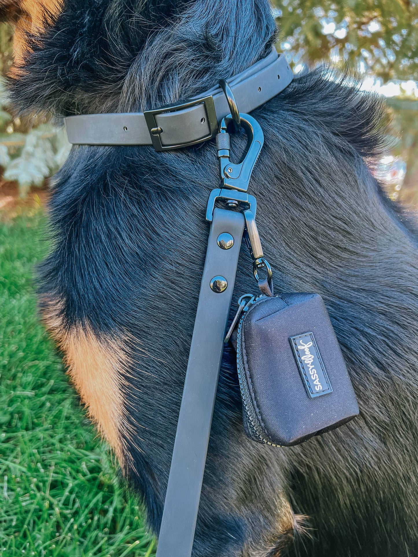 Waterproof Dog Leash - Black