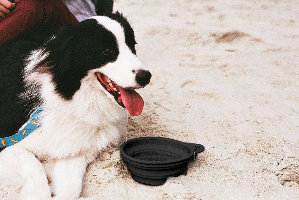 Black | Go Bowl: Small