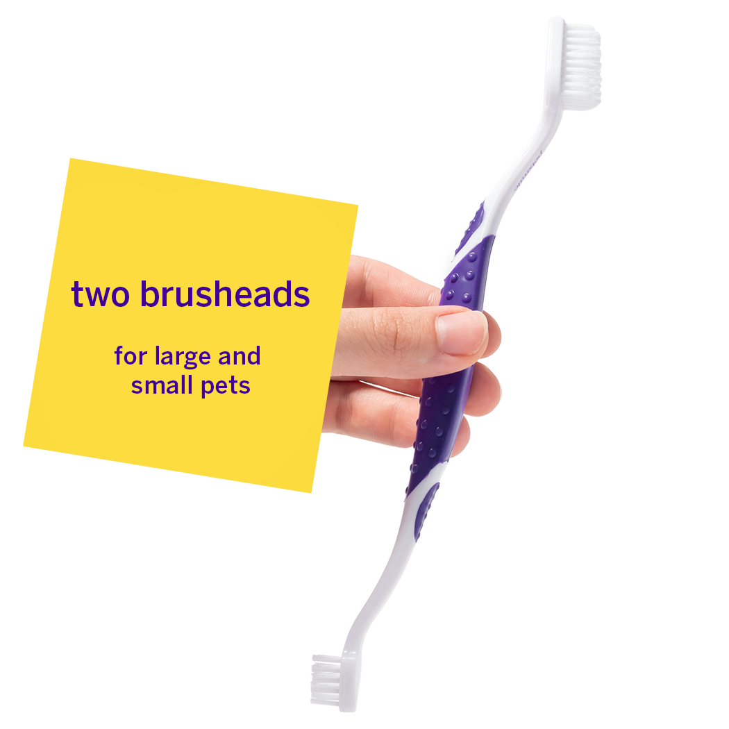 Petsmile Professional Pet Toothbrush